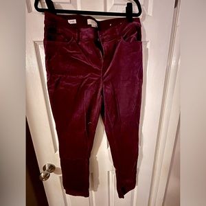 Loft Burgundy Curvy Brushed Corduroy Skinny Pants. NWOT